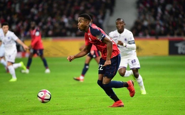 这个联盟将 这个联盟将